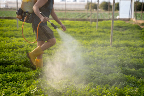Reliable Pelzer, SC Pest Control Solutions